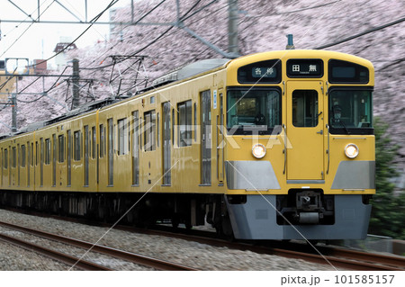 ［SS］西武新宿線2000系（流し撮り） 101585157