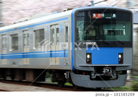 桜並木を行く西武新宿線20000系（流し撮り） 101585209