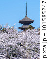 桜に包まれる五重塔 101585247