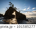 夕陽に照らされる夫婦岩 101585277