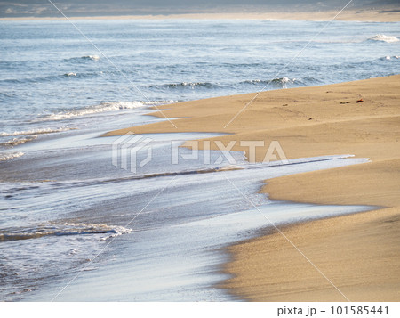 玄界灘の砂浜海岸。福岡県福岡市東区内。 101585441