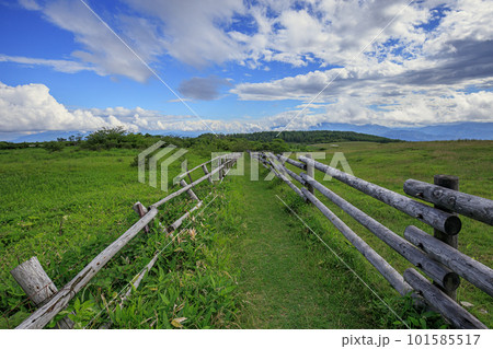 高原牧場の道と夏空 高原牧場の道と夏空 101585517