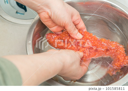 【イクラの醤油漬けを作るために、塩を入れたぬるま湯に生イクラを入れほぐす】 【イクラの醤油漬けを作るために、塩を入れたぬるま湯に生イクラを入れほぐす】 101585811