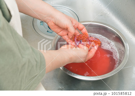【イクラの醤油漬けを作るために、塩を入れたぬるま湯に生イクラを入れほぐす】 101585812