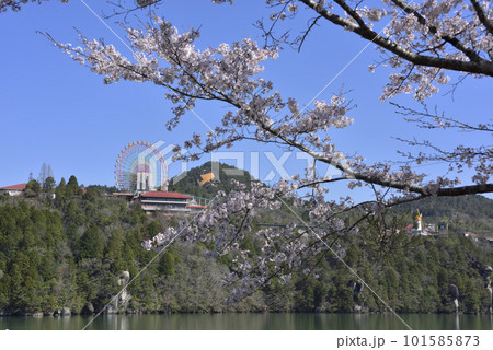 桜咲く遊園地と観覧車 101585873