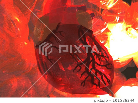 体内　心臓　内部　正面　透視　透かしイメージ(3DCG) 101586244