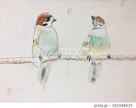 子供が書いた2羽のすずめ 子供が書いた2羽のすずめ 101586635
