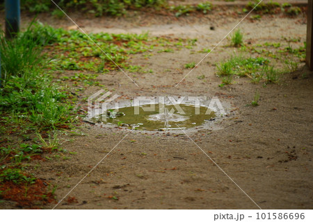 水たまり 101586696