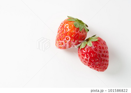 苺を白背景で（とちあいか） 101586822