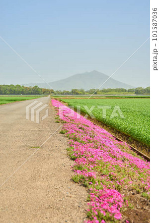 2023年4月12日の筑波山にかかる黄砂 2023年4月12日の筑波山にかかる黄砂 101587036