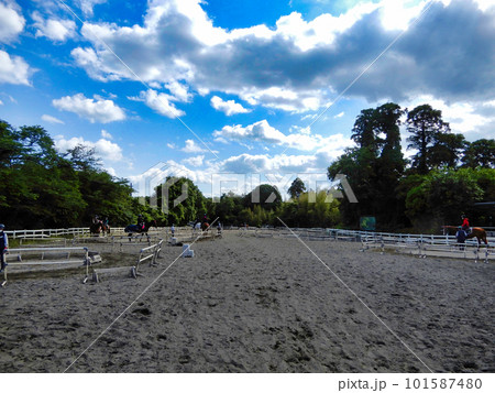 乗馬の馬場の風景 乗馬の馬場の風景 101587480
