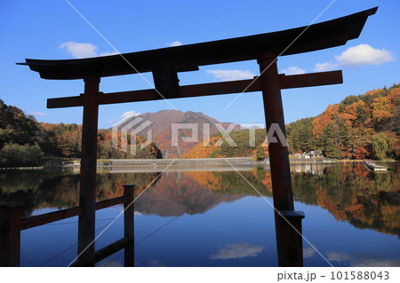 鳥居の向こうに見える美鈴湖の紅葉 101588043
