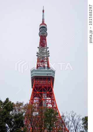 東京タワー 101588297