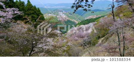【奈良】吉野千本桜の風景（春） 101588334