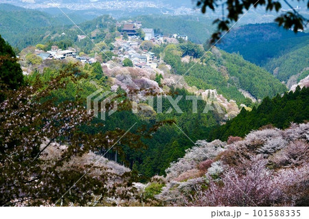 【奈良】吉野千本桜の風景（春） 101588335