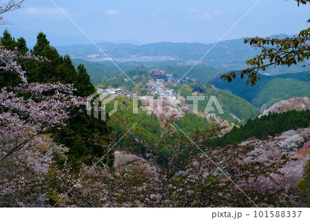 【奈良】吉野千本桜の風景（春） 101588337