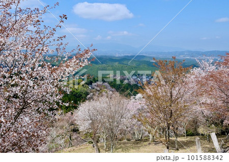 【奈良】吉野千本桜の風景（春） 101588342
