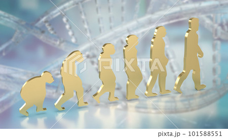 The human evolution image for education or sci concept 3d rendering The human evolution image for education or sci concept 3d rendering 101588551