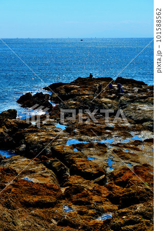 秋谷  立石海岸と遠くに見える水平線の風景 101588562