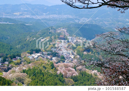 【奈良】吉野千本桜の風景（春） 101588587