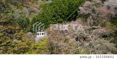 【奈良】吉野千本桜の風景（春） 101588602