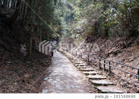 【奈良】吉野千本桜の風景（奥千本） 101588698