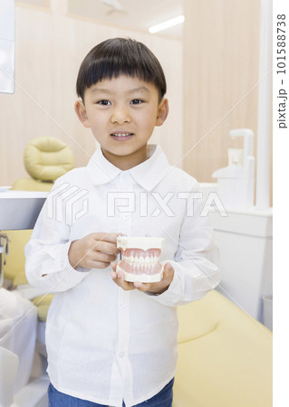 歯の模型をもって歯医者で立つ男の子 101588738