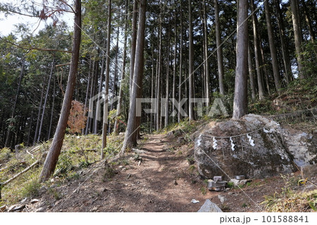 日本 広島・三次の風景 日本 広島・三次の風景 101588841