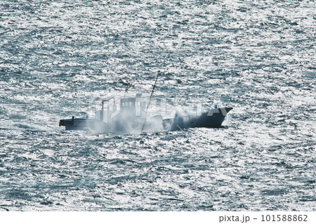 伊良湖岬　日出園地沖の海上を水しぶきをあげて疾走する漁船 101588862