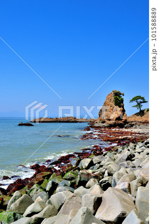 秋谷  立石公園から望む富士山の風景 101588889