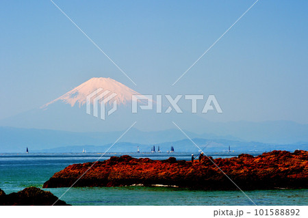 秋谷 立石公園から望む富士山の風景 秋谷 立石公園から望む富士山の風景 101588892
