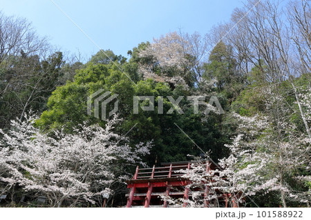日本　広島・三次の風景 101588922