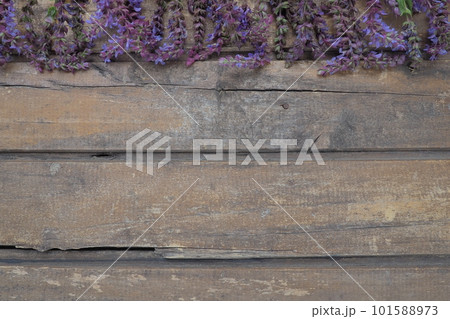 Lavender and sage flowers on a wooden table close-up. Horizontal planks of dark old wood with purple and blue flowers and leaves around the edges. Still life and flat lay. Free copy space for text 101588973