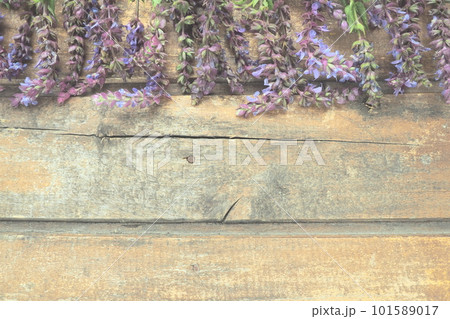 Lavender and sage flowers on a wooden table close-up. Horizontal planks of dark old wood with purple and blue flowers and leaves around the edges. Still life and flat lay. Free copy space for text Lavender and sage flowers on a wooden table close-up. Horizontal planks of dark old wood with purple and blue flowers and leaves around the edges. Still life and flat lay. Free copy space for text 101589017