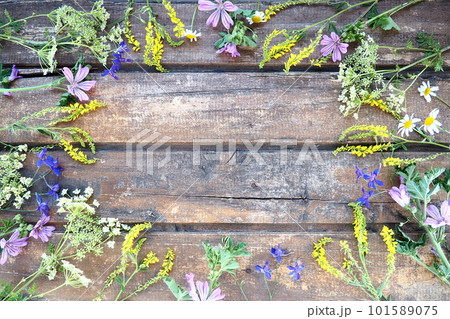 Multicolored wildflowers are arranged in a circle on a wooden table background. Chamomile, sweet clover, wild geranium, bluebells, parsley inflorescences. Horizontal boards. Romantic Provence style Multicolored wildflowers are arranged in a circle on a wooden table background. Chamomile, sweet clover, wild geranium, bluebells, parsley inflorescences. Horizontal boards. Romantic Provence style 101589075
