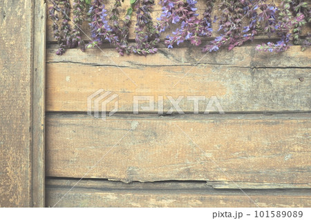 Lavender and sage flowers on a wooden table close-up. Horizontal planks of dark old wood with purple and blue flowers and leaves around the edges. Still life and flat lay. Free copy space for text 101589089