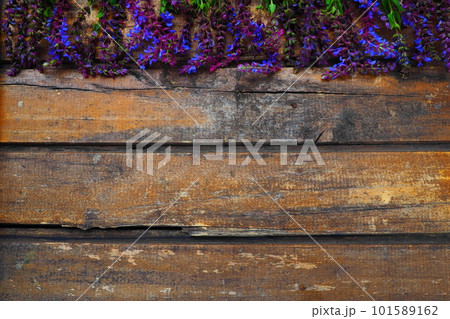 Lavender and sage flowers on a wooden table close-up. Horizontal planks of dark old wood with purple and blue flowers and leaves around the edges. Still life and flat lay. Free copy space for text 101589162