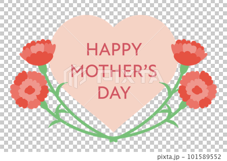 Mother's Day red carnation illustration material Mother's Day red carnation illustration material 101589552