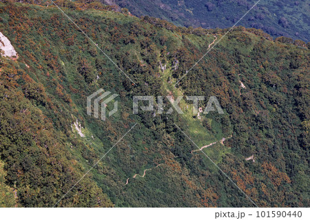 初秋の妙高山山頂から俯瞰する大倉乗越 初秋の妙高山山頂から俯瞰する大倉乗越 101590440