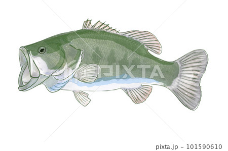 ジャンプするバス 101590610