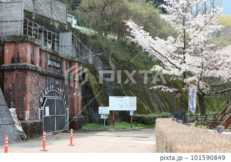 春のマイントピア別子、第四通洞の端出場の坑口と桜 春のマイントピア別子、第四通洞の端出場の坑口と桜 101590849