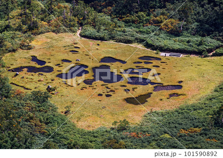 妙高連峰・大倉乗越から俯瞰する草紅葉の長助池 妙高連峰・大倉乗越から俯瞰する草紅葉の長助池 101590892