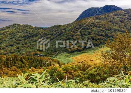 秋色の黒沢池湿原と妙高山の眺め 101590894