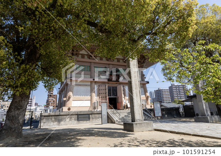 大阪・四天王寺「英霊堂」(2023年4月1日撮影) 大阪・四天王寺「英霊堂」(2023年4月1日撮影) 101591254