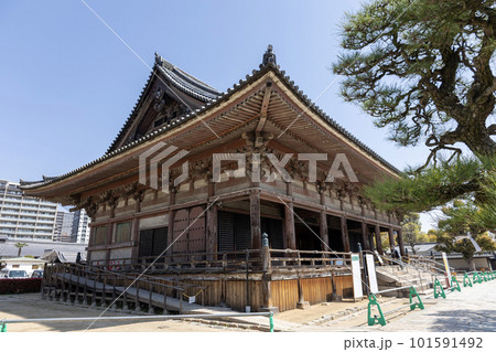 大阪・四天王寺「六時礼讃堂」（2023年4月1日撮影） 101591492