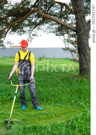 A male gardener mows the green grass of the lawn in the backyard with a gasoline mower. Trimmer for the care of a garden plot 101591747