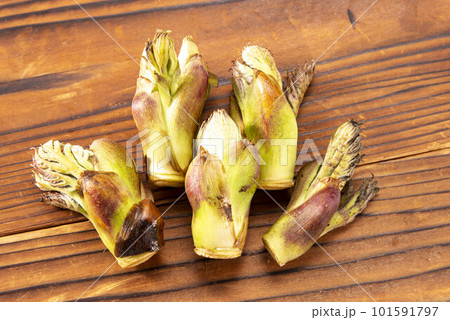 春の山菜で美味しいタラの芽 101591797