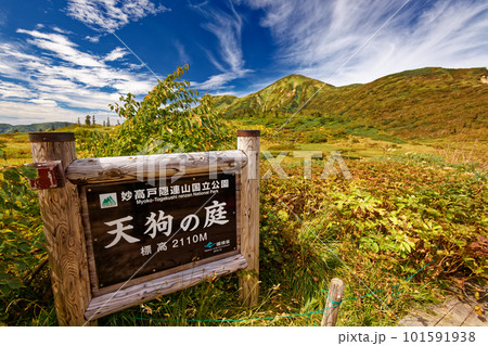 天狗の庭付近の草紅葉と妙高連峰・火打山を望む 天狗の庭付近の草紅葉と妙高連峰・火打山を望む 101591938