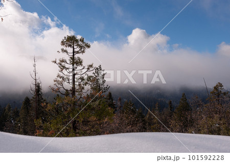 Hiking trail to Mariposa Hiking trail to Mariposa 101592228