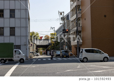 大阪・四天王寺「四天王寺中之門」（2023年4月1日撮影） 101592493